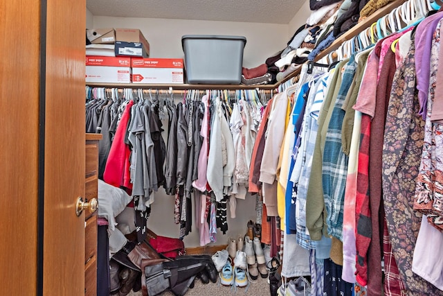 spacious closet with carpet