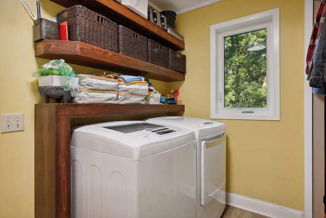 laundry area featuring hardwood / wood-style flooring and independent washer and dryer