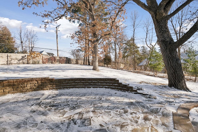 view of yard covered in snow