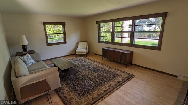 3501 Virginia Ave S, Saint Louis Park, MN 55426 - living area featuring radiator, plenty of natural light, wood finished floors, and baseboards