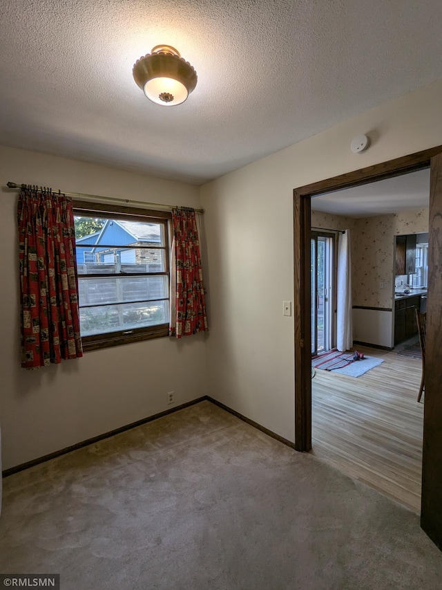 3501 Virginia Ave S, Saint Louis Park, MN 55426 - spare room with baseboards, a textured ceiling, light colored carpet, and a smoke detector