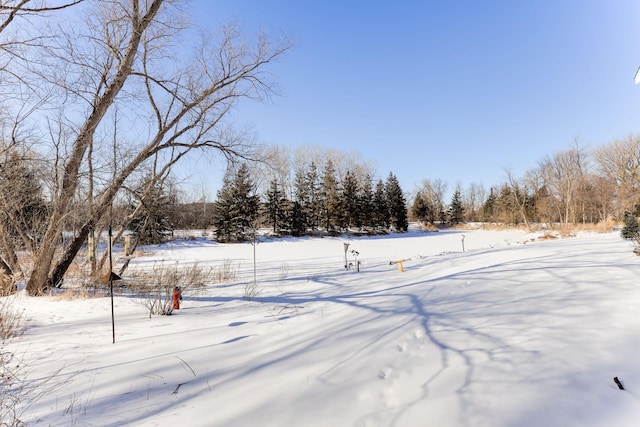 view of snowy yard