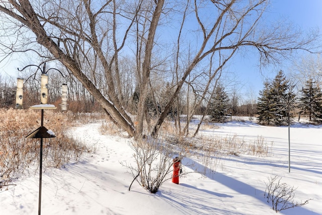 view of yard covered in snow