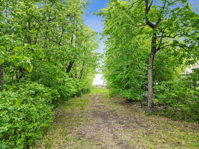 25379 Deerpath Loop, Pelican Rapids, MN 56572 - view of undeveloped land