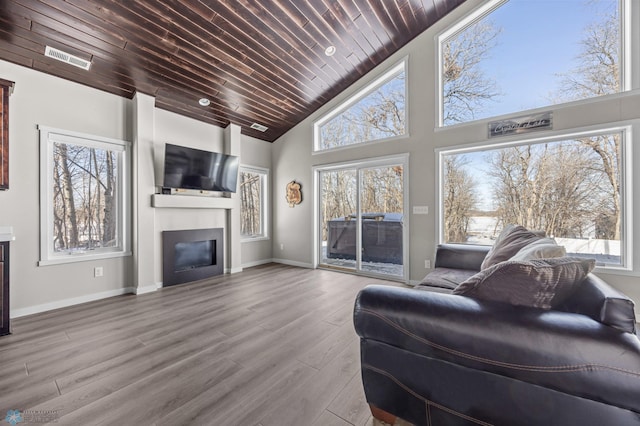 25379 Deerpath Loop, Pelican Rapids, MN 56572 - living room featuring a glass covered fireplace, wood ceiling, plenty of natural light, wood finished floors, and high vaulted ceiling