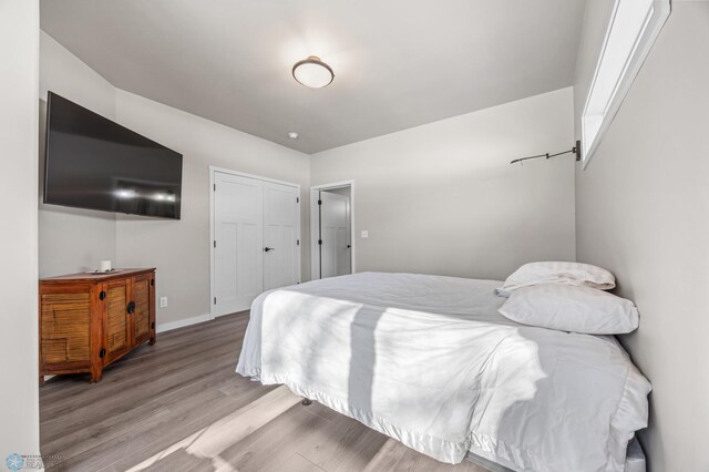 25379 Deerpath Loop, Pelican Rapids, MN 56572 - bedroom with wood finished floors, baseboards, and a closet