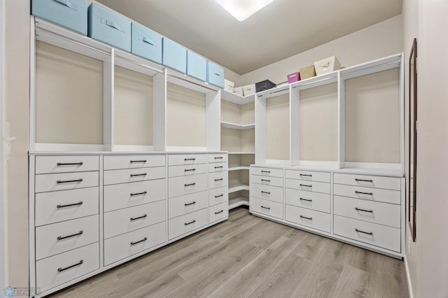 25379 Deerpath Loop, Pelican Rapids, MN 56572 - walk in closet featuring light wood-style flooring