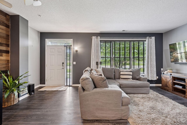 7316 Bunker Lake Blvd NW, Ramsey, MN 55303 - living room with baseboards, dark wood finished floors, and a textured ceiling