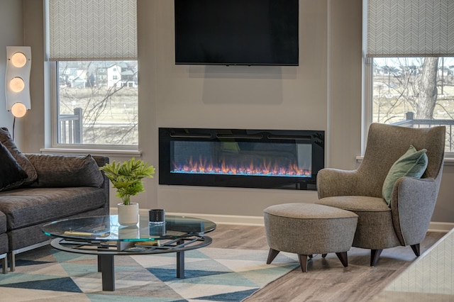 living room with hardwood / wood-style floors