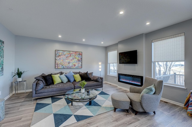 living room featuring light hardwood / wood-style floors