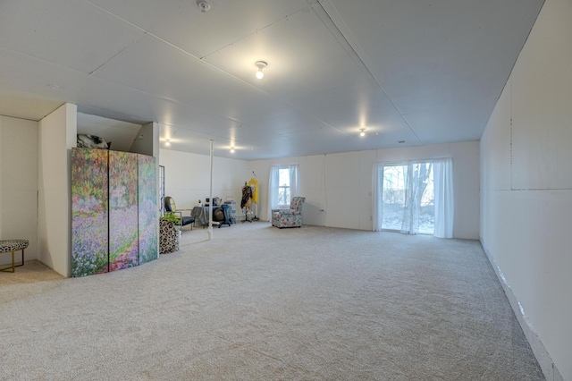 basement with carpet