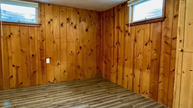 basement with wooden walls, hardwood / wood-style floors, and a wealth of natural light