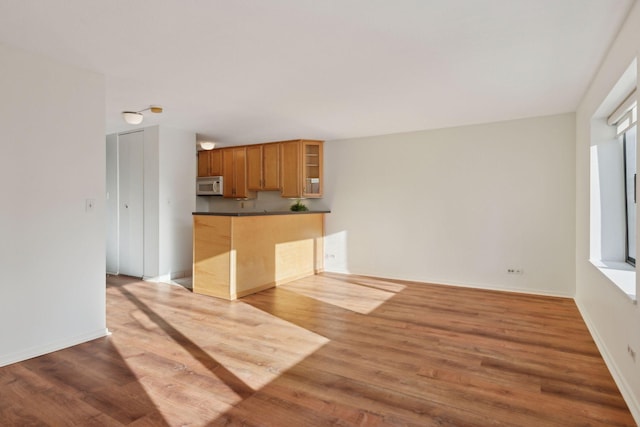 kitchen with wood-type flooring