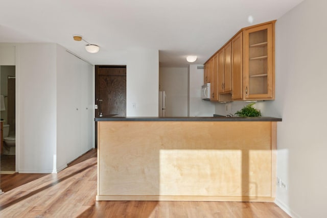 kitchen with kitchen peninsula and light hardwood / wood-style flooring