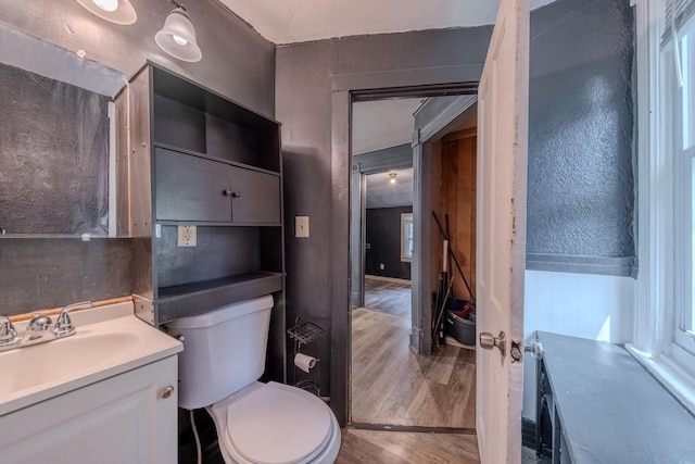 bathroom featuring vanity, hardwood / wood-style floors, backsplash, and toilet