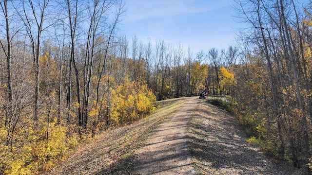 1691 Oak Creek Ct, Chaska, MN 55318 - view of dirt / gravel road with a wooded view
