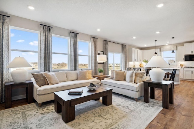 1691 Oak Creek Ct, Chaska, MN 55318 - living room with light wood-type flooring and recessed lighting