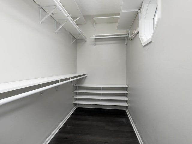 walk in closet with dark wood-type flooring