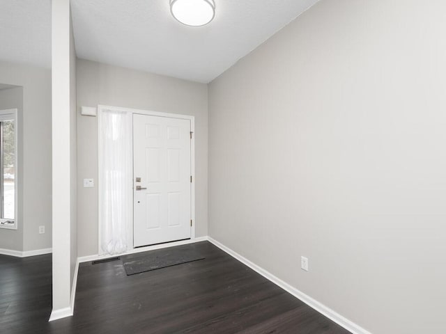 foyer featuring dark wood-type flooring