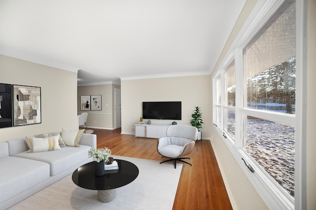 living room featuring crown molding and wood-type flooring