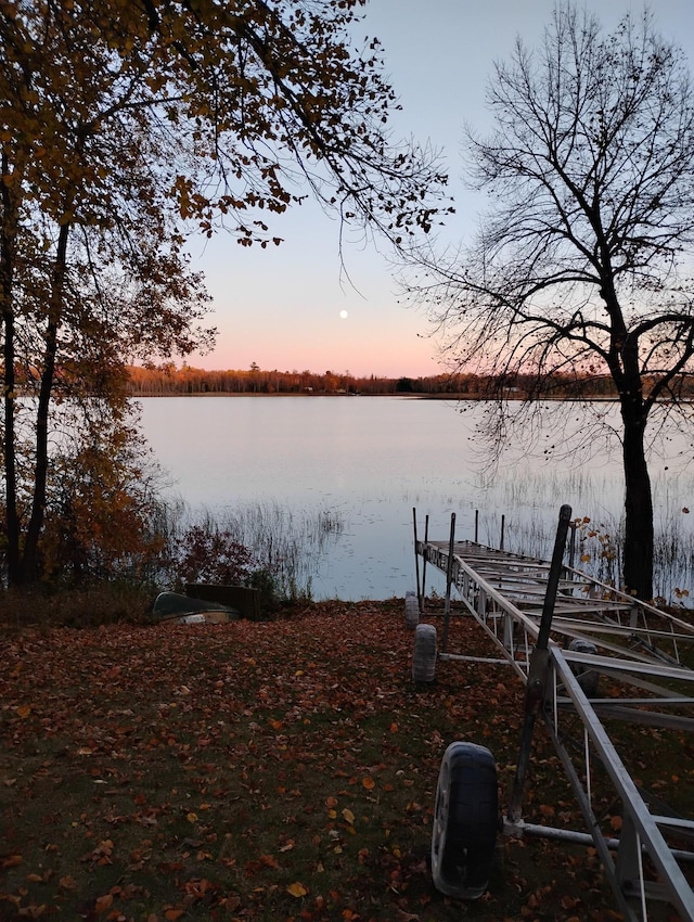 dock area featuring a water view