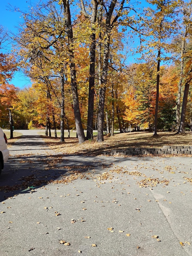 view of road