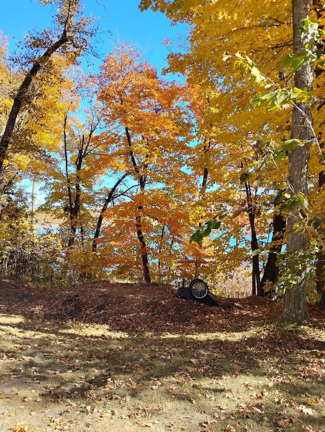 view of landscape