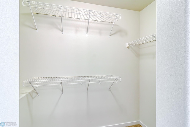 view of spacious closet