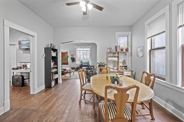 dining space with dark hardwood / wood-style floors and ceiling fan