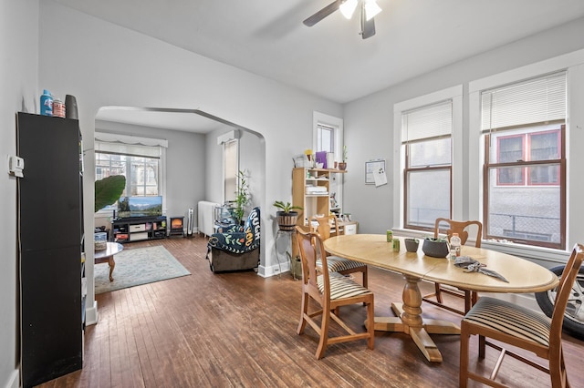 dining space with ceiling fan, dark hardwood / wood-style flooring, and radiator