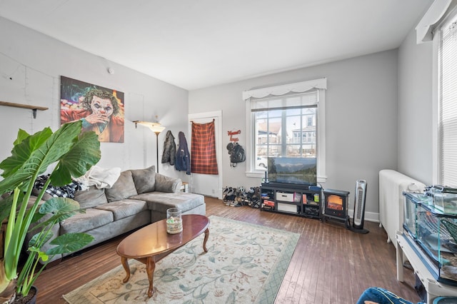 living room with wood-type flooring and radiator