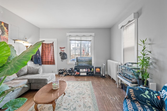 living room with radiator and hardwood / wood-style floors