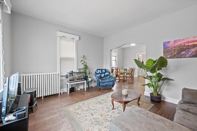 living room featuring radiator and wood-type flooring