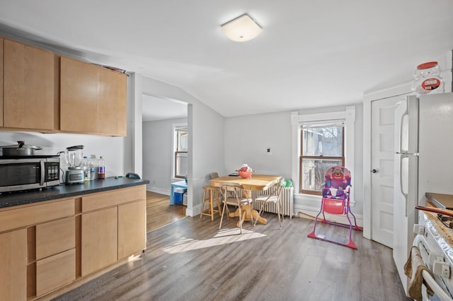 kitchen with vaulted ceiling, radiator heating unit, dark hardwood / wood-style flooring, stove, and light brown cabinets