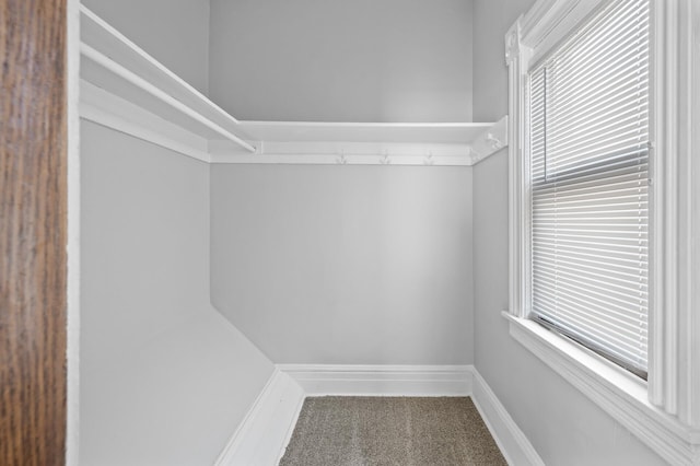 spacious closet featuring carpet