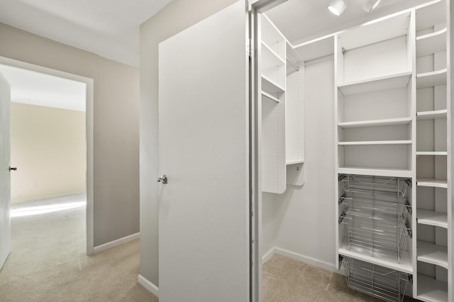 walk in closet featuring light colored carpet