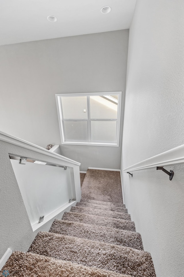 stairs featuring carpet flooring