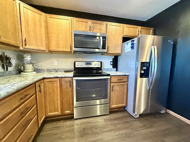 kitchen featuring dark wood-type flooring and stainless steel appliances