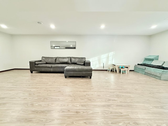 living room featuring light hardwood / wood-style flooring