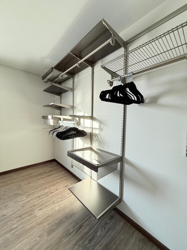 walk in closet with hardwood / wood-style flooring