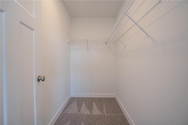 spacious closet featuring carpet flooring