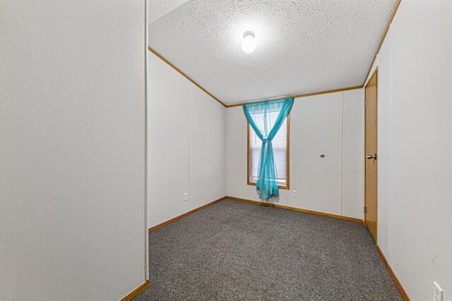 empty room with carpet flooring and a textured ceiling