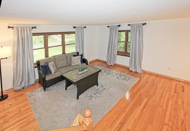 living room featuring hardwood / wood-style floors and a textured ceiling