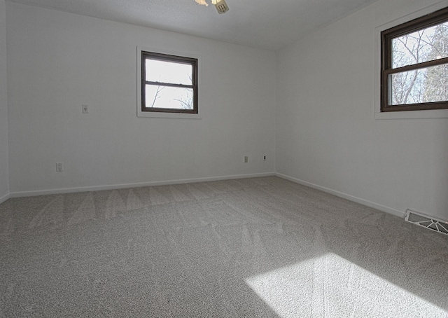 spare room featuring plenty of natural light and carpet