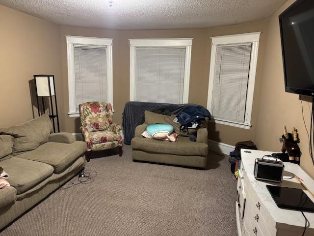 living room with carpet flooring and a textured ceiling