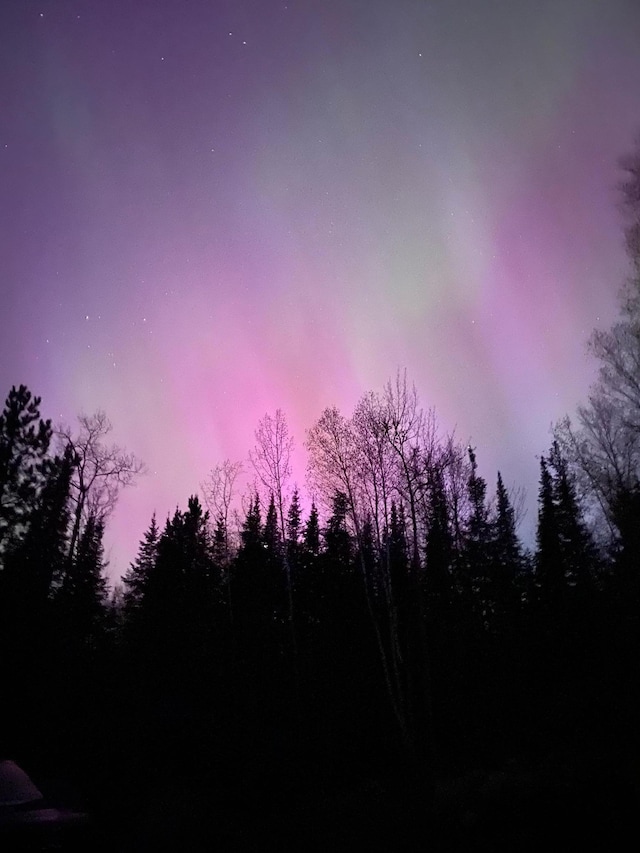 view of nature at dusk