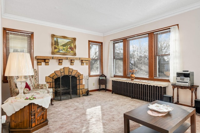 living area featuring ornamental molding, radiator, carpet floors, and a textured ceiling