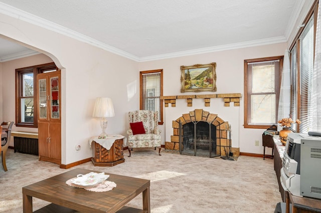 carpeted living room with crown molding, a stone fireplace, heating unit, and a textured ceiling