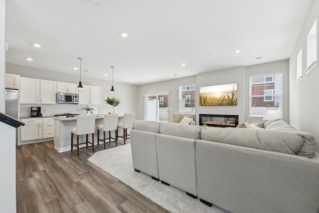 living room with dark hardwood / wood-style flooring