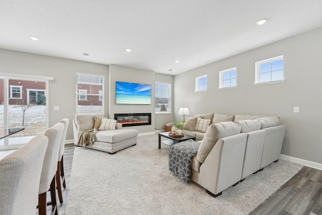 living room with wood-type flooring